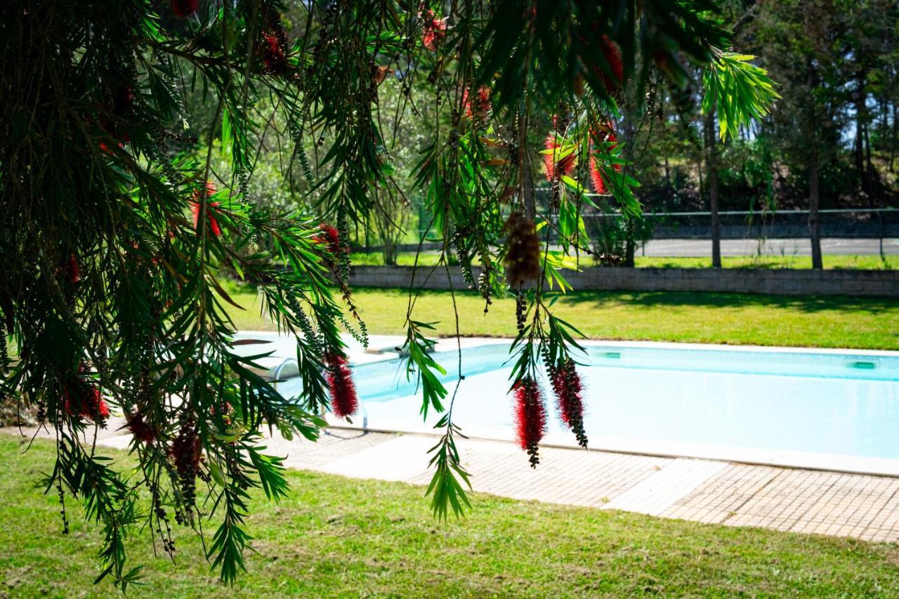Hotel Rural Quinta Do Juncal Serra d'El-Rei Kültér fotó