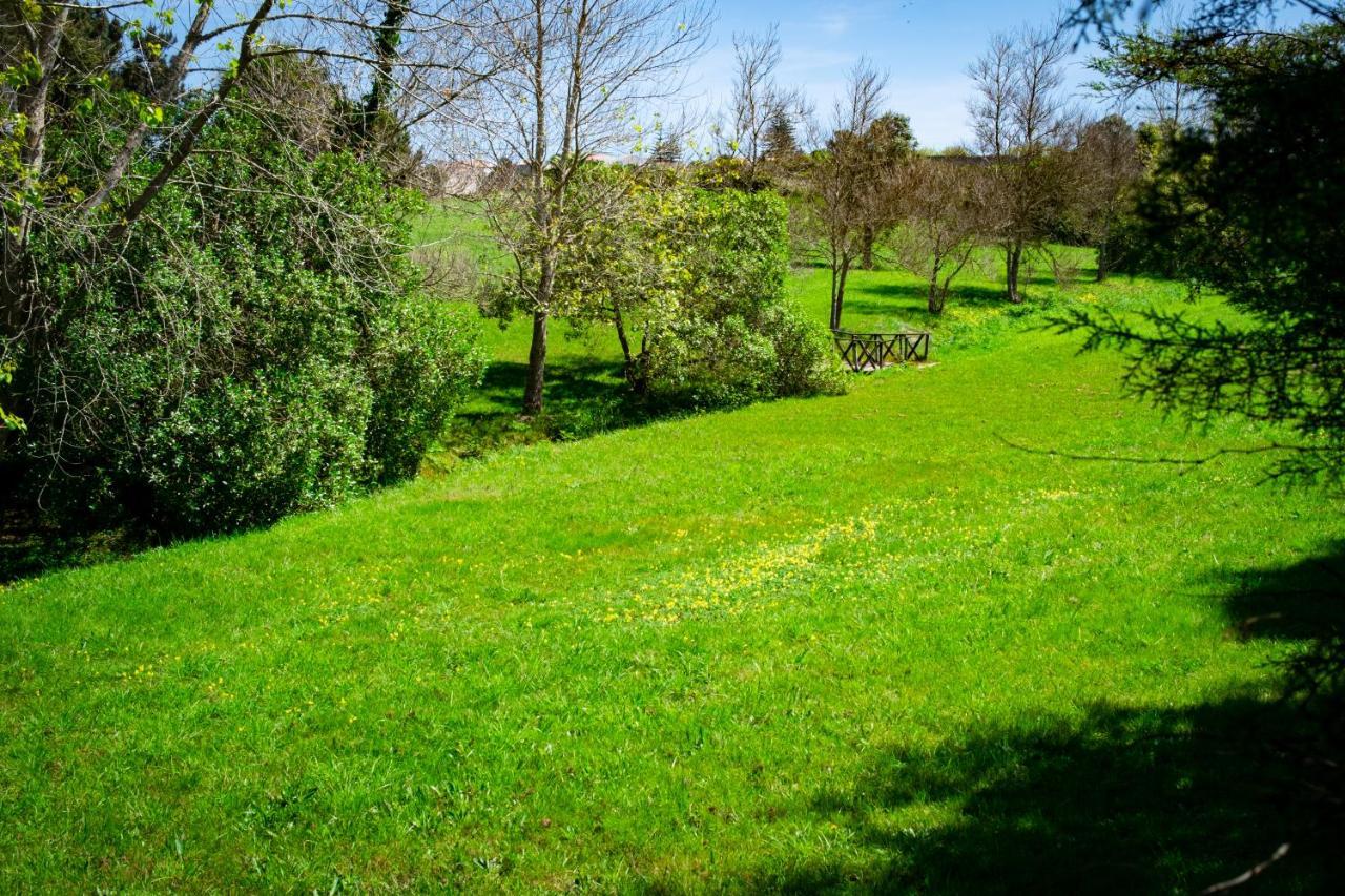 Hotel Rural Quinta Do Juncal Serra d'El-Rei Kültér fotó